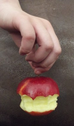 Appel 2013
